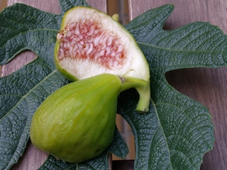 Figues collides al meu terrat