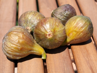 Harvesting very mature we assure the maxim sweetness. They are the advantages of having a tree at home