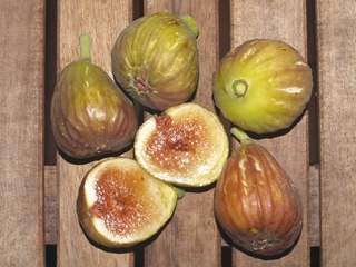Figues Brown-Turkey 30 August 2007