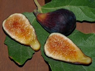 Fulla de la LSU Purple