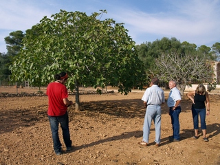 Victoria a Son Mut Nou