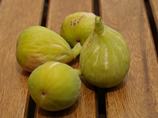 De la Verge Maria de Al-Matariya