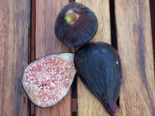 Albacor de molla vermella